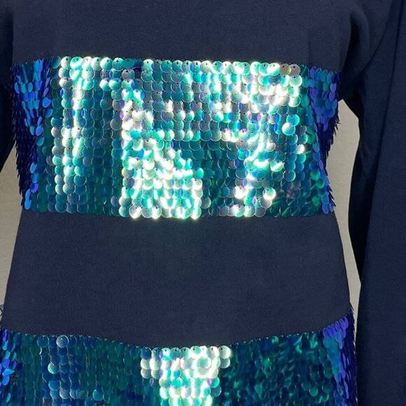 H&M Blue Irredescent Sequin Stripe Long Sleeves Top Sweatshirt Size Large - Picture 3 of 9
